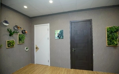 圣象家居實(shí)話實(shí)說(shuō):消費(fèi)者代言才是走心!